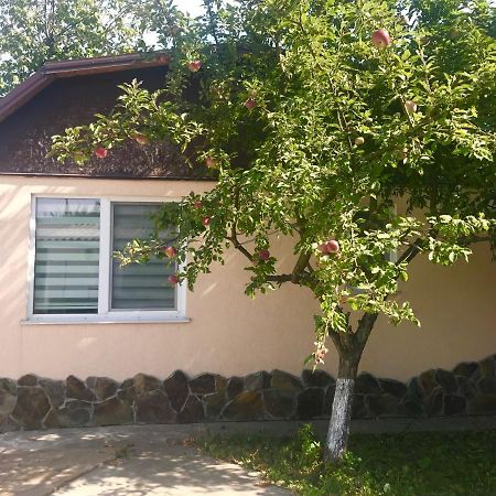 Apartments With Kitchen And Garden Kiev Eksteriør bilde