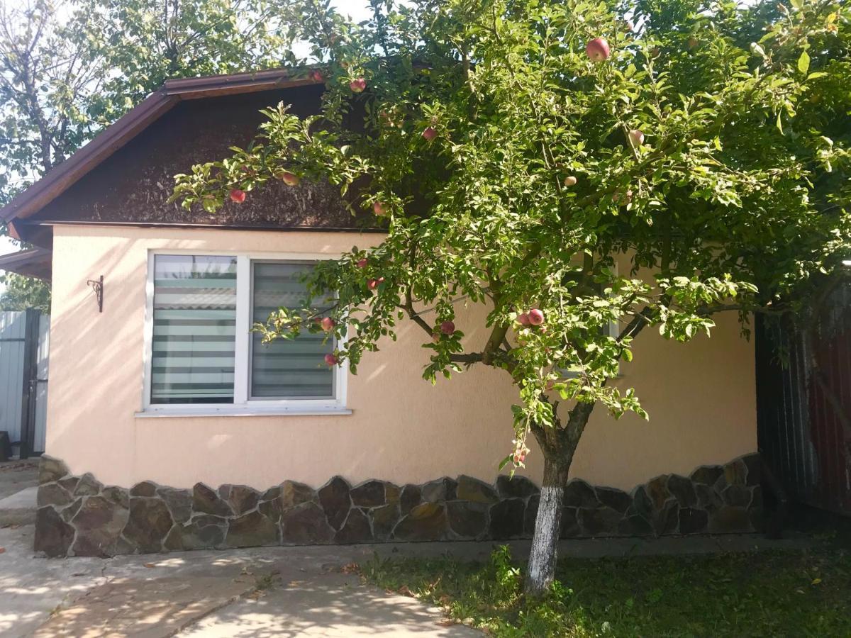 Apartments With Kitchen And Garden Kiev Eksteriør bilde